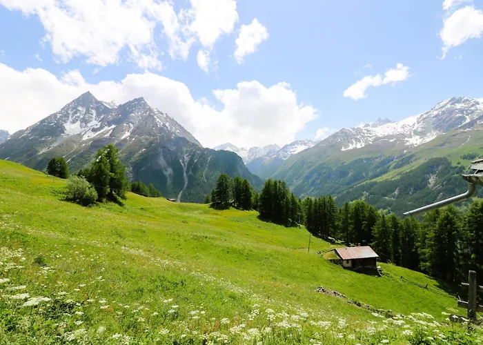 Mayen Motau - Retour A L Essentiel Dağ evi *